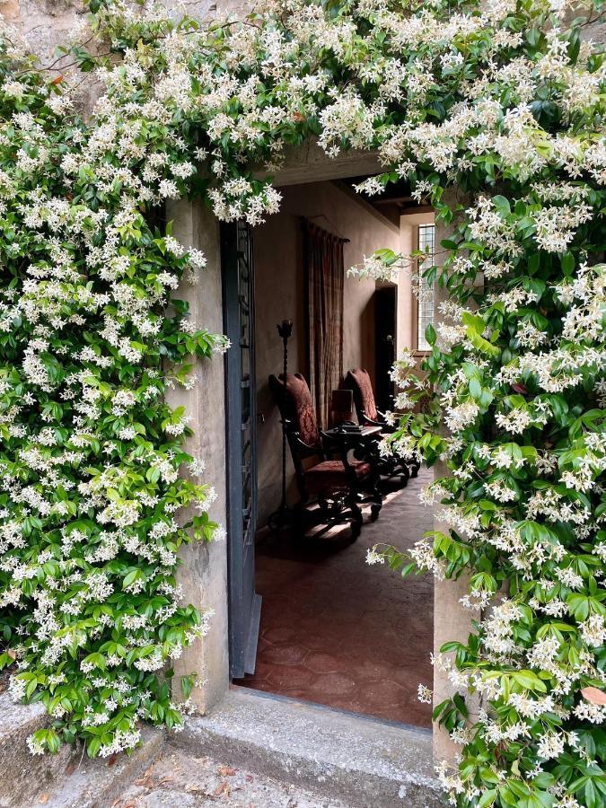 Tenuta Di San Giusto In Salcio Apartment Gaiole in Chianti Exterior foto